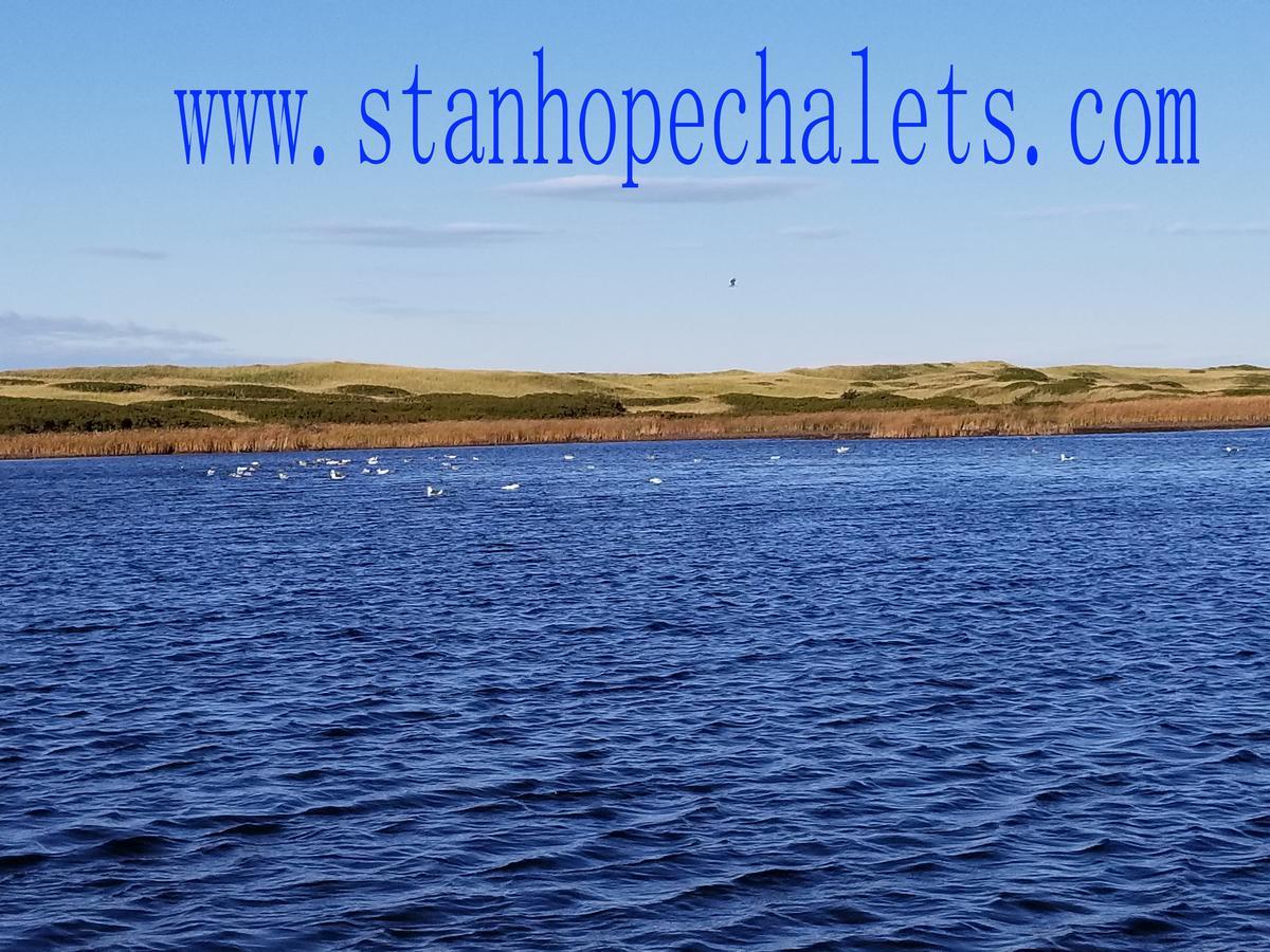 Merry Stanhope Chalets Hotel Exterior foto